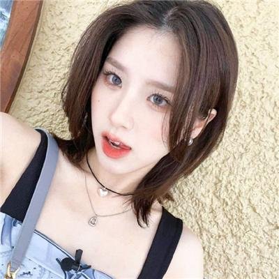 萌犬好声音2